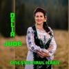 Cine Știe Firul Ierbii - Single