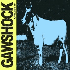 Gawshock - Faint of Heart