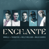 YouNotUs & Willy William - Enchant (feat. Malik Harris & Minelli) Grafik