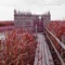 Good. B (feat. Tape & Kazumi Nikaido) - Tenniscoats lyrics