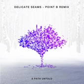 Delicate Seams (Point B Remix) artwork
