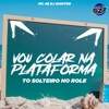 VOU COLAR NA PLATAFORMA TO SOLTEIRO NO ROLE (feat. Mc 4R) - Single