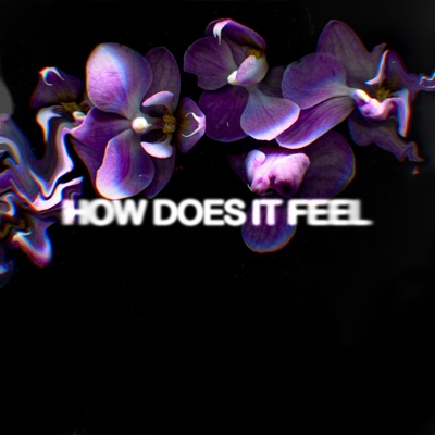 HOW DOES IT FEEL? (feat. Frigo) - Single