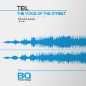 The Voice of the Street (Crack D Dub Remix) artwork