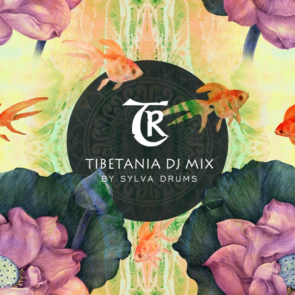 Sylva Drums (DJ Mix)