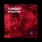 A Feeling (Tuneboy Remix) - The Raiders lyrics