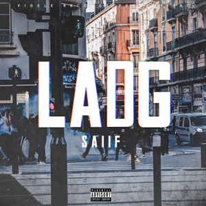 LaDG