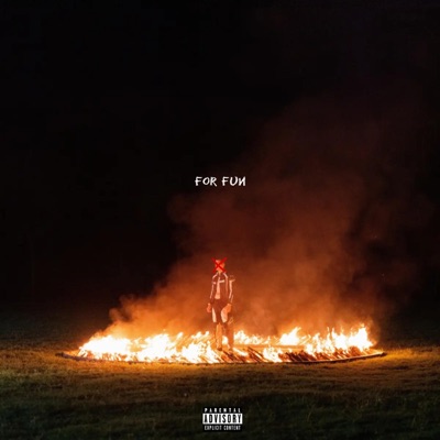 For Fun (feat. Lava God & unojordan) - Single