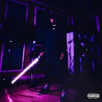 Made In the Shade (feat. Mickey Factz) - Single - Donnie Raven
