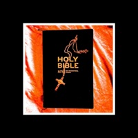 Unto Dust - Pink Ink