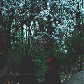 Rrrealization OkayNeon