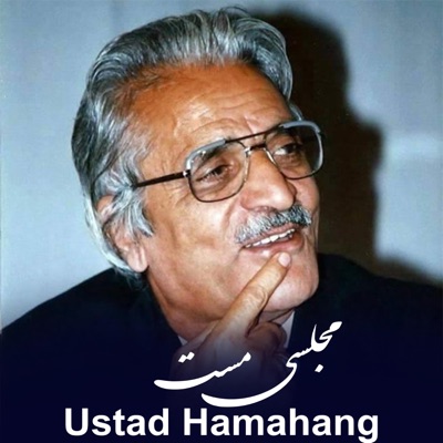 Ustad Hamahang - دوستت میدارم