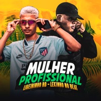 Mulher Profissional (Remix) - Single - Ligerinho RD & Lekinho no Beat