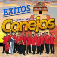 Internacionales Conejos - Mariposa Traicionera, Marimba de Guatemala