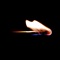 Burn (feat. Spencer Jones) - Zack Weston lyrics