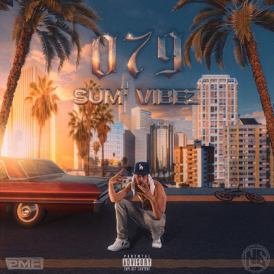 079 SUM' VIBEZ - EP