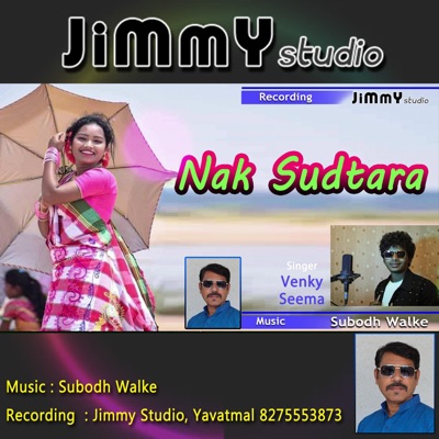 Nak Sudtara Gondi Song (feat. Subodh Walke & Vedma Venky) - Single