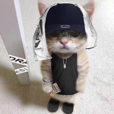 ZIPPED UP! (feat. Ixiah) - Single