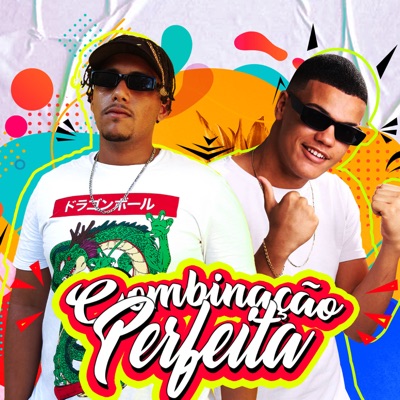 Combinação Perfeita (feat. Mc Guilherme) - Single
