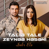 Səbr Elə (feat. Zeynəb Həsəni) [Acoustic] artwork