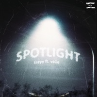 spotlight (feat. Va1e) - Single - Treyywav