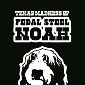 Pedal Steel Noah - Love Will Tear Us Apart