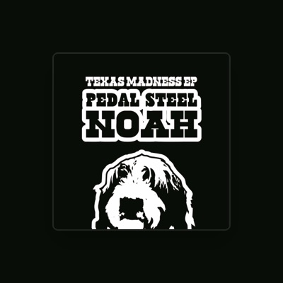 Pedal Steel Noah