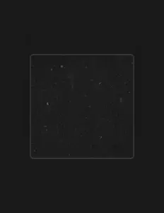 聆聽 King Colee、觀看音樂影片、閱讀小傳、查看巡演日期等！