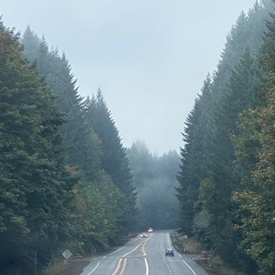 Summer Love - Single