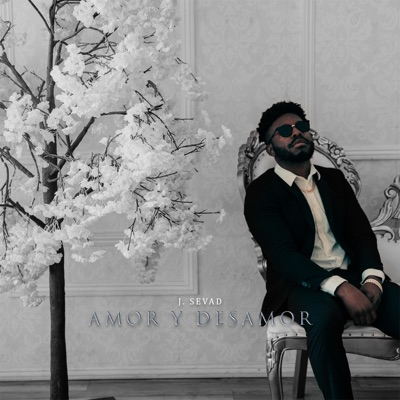 Amor y Desamor - Single