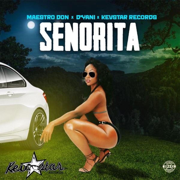 Señorita - Single