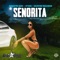 Señorita - Maestro Don, D'yani & Kevstar lyrics