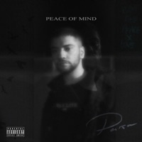 Peace of Mind - Single - Parsa