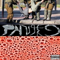 PANIKO - Single - Lil Bisse