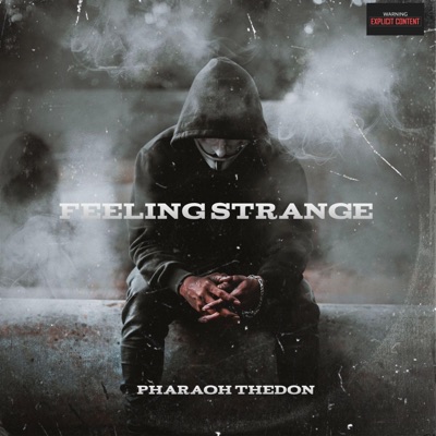 Feeling Strange - Single