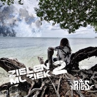 Onderscheiding - Single - Ries & DJ MP