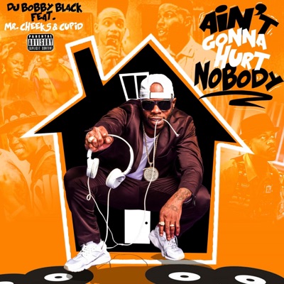 Ain't Gonna Hurt Nobody (feat. Mr. Cheeks & Cupid) - Single