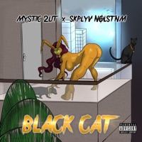 Black Cat (feat. Skplyv Nolstnm) - Single - Mystic 2Lit
