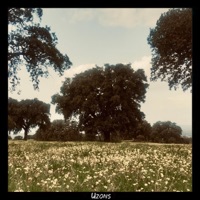 Fireflies - Single - Shunus