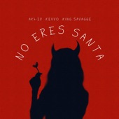 NO ERES SANTA artwork