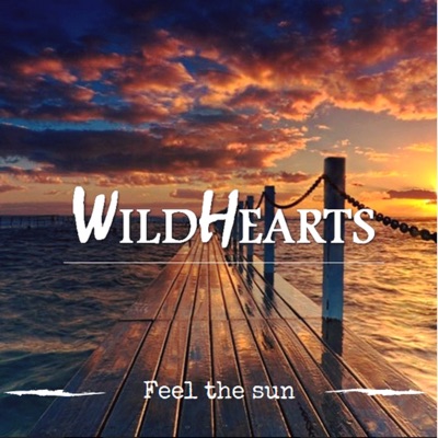 Feel the Sun - Single