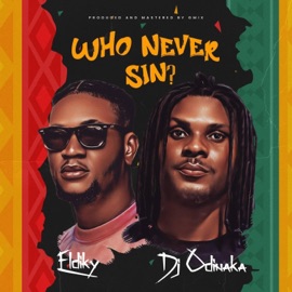 Who Never Sin (WNS) (feat. Eldiky) Dj Odinaka