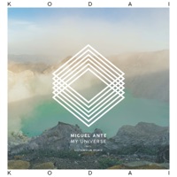 My Universe - Single - Miguel Ante