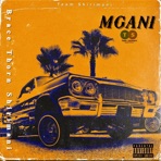 Mgani - Single