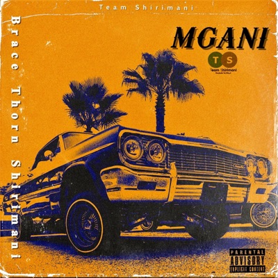 Mgani - Single