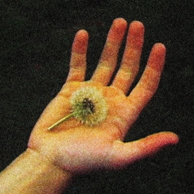 when a tree falls (feat. Camden) - Single