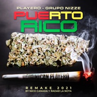 Puerto Rico (Remake 2021) - Single - Grupo Nizze, Playero & Radar La Nota