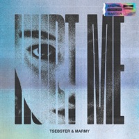 Hurt Me - Single - Tsebster & Marmy