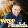 Naldo Pisadinha - Sanfoneira Nordestina