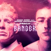 Prach (z filmu BANGER.) artwork